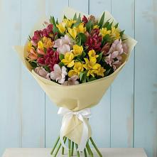 Букет цветов из:  Альстромерии в Нешукае