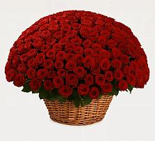 Премиум букет из: Розы в Нешукае